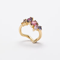 Shri ring