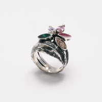 Ixia ring